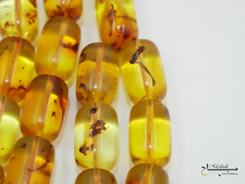 مسباح كهرمان كولومبي حشري