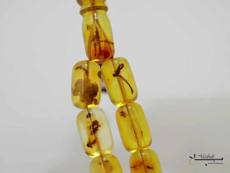 مسباح كهرمان كولومبي حشري